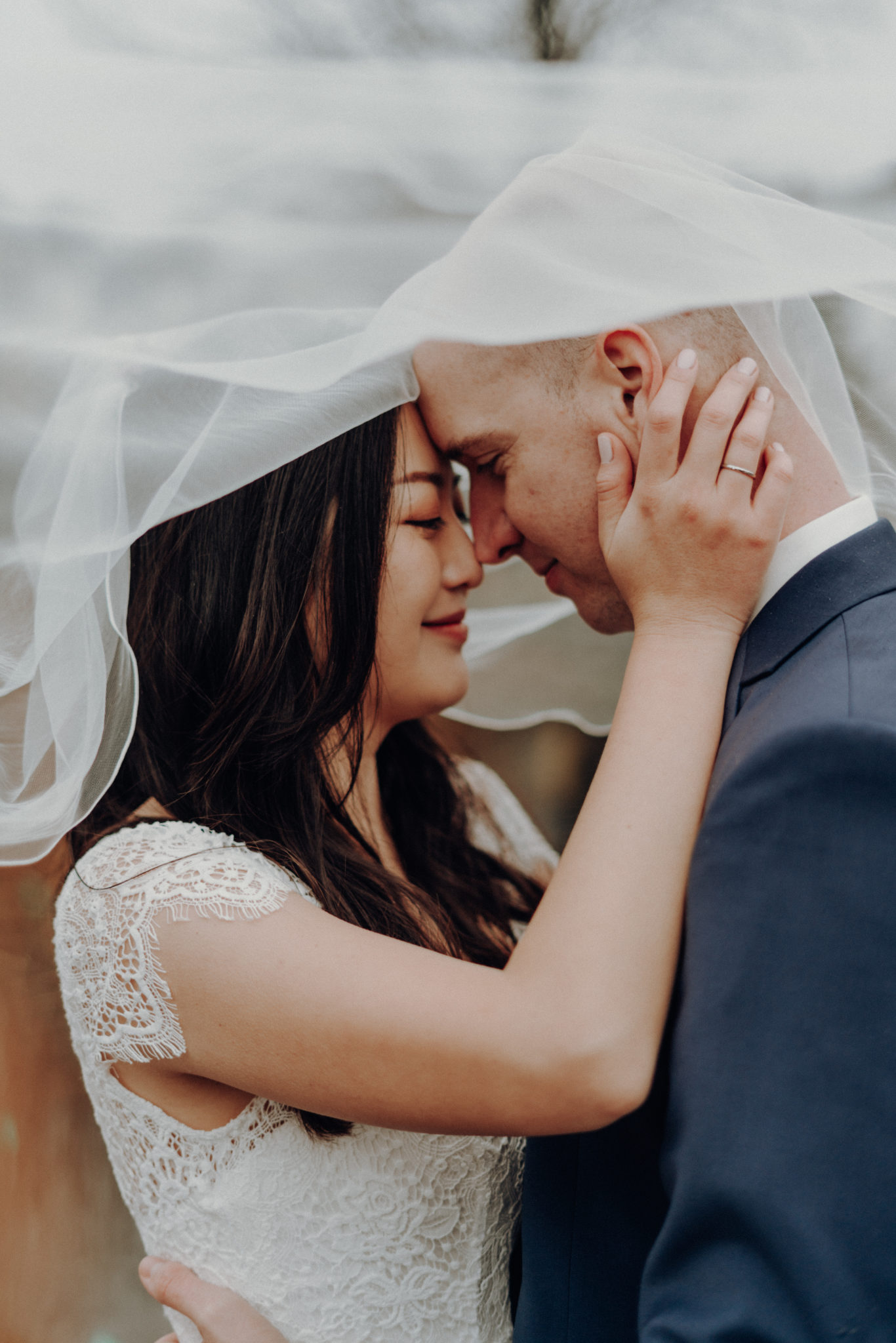 Warm08590 Hochzeitspaar steht gemeinsam unter dem Schleier der Braut