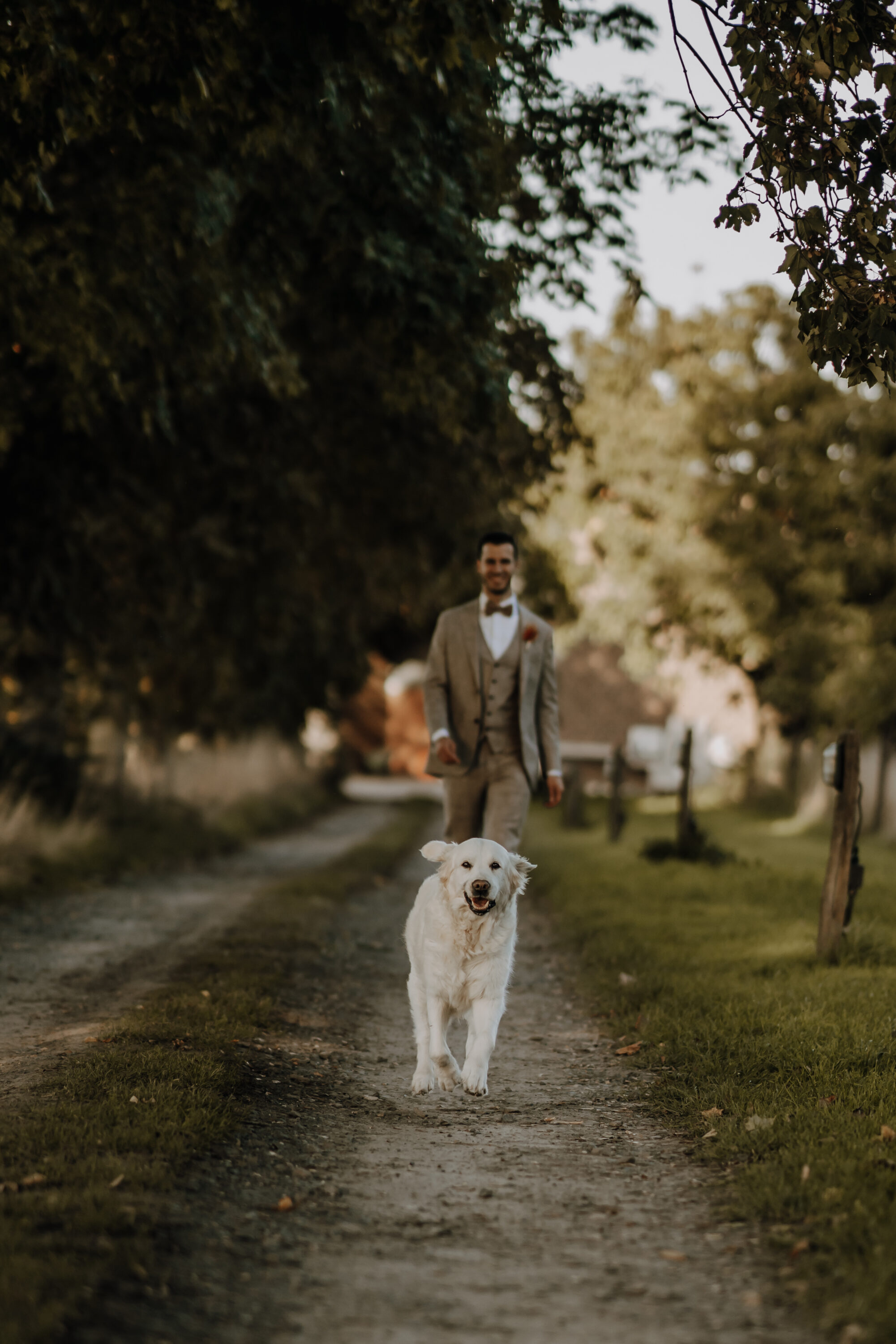 73R07117-annaundmarkhochzeit-2 weißer Hund läuft Landweg entlang auf Kamera zu, Bräutigam dahinter